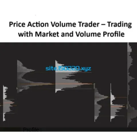 图片[1]-Price Action Volume Trader – Trading with Market and Volume Profile-TheTrendFollowing