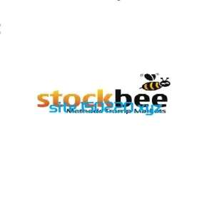 图片[1]-STOCKBEE-TheTrendFollowing