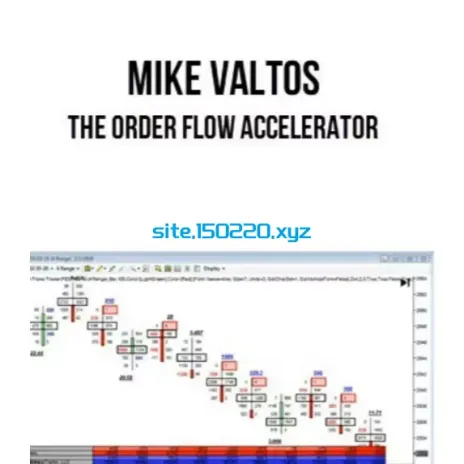 图片[1]-Mike Valtos – The Order Flow Accelerator November 2024-TheTrendFollowing