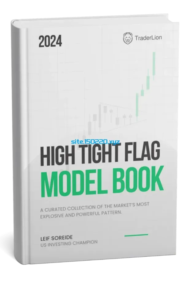 图片[1]-2024 High Tight Flag Model Book-TheTrendFollowing