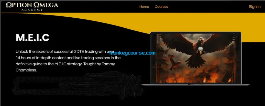 图片[1]-Option Omega Academy – M.E.I.C Course-TheTrendFollowing