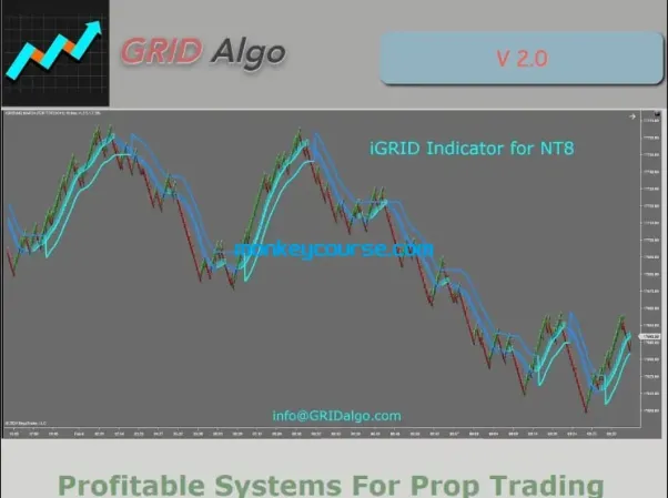 图片[1]-iGRID indicator V2.0 GRID ALGO for NT8-TheTrendFollowing